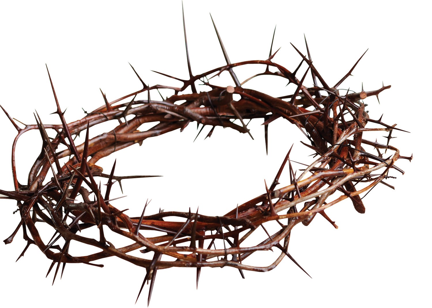 Send Out Your Roots | The Crown of Thorns – It's Significance